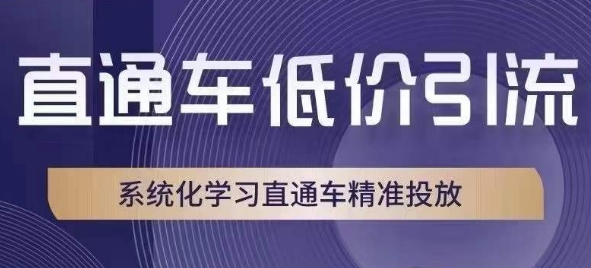 直通车低价引流课，系统化学习直通车精准投放-淘金日记