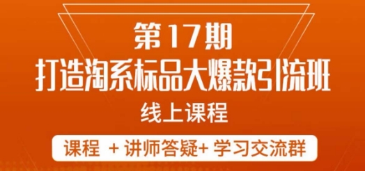 南掌柜-第17期打造淘系标品大爆款，5天线上课-淘金日记