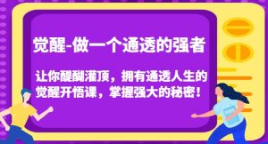 觉醒-做一个通透的强者，让你醍醐灌顶，拥有通透人生的觉醒开悟课，掌握强大的秘密！-淘金日记
