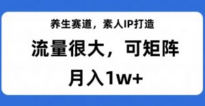 养生赛道,素人IP打造,流量很大,可矩阵,月入1w+【揭秘】-淘金日记