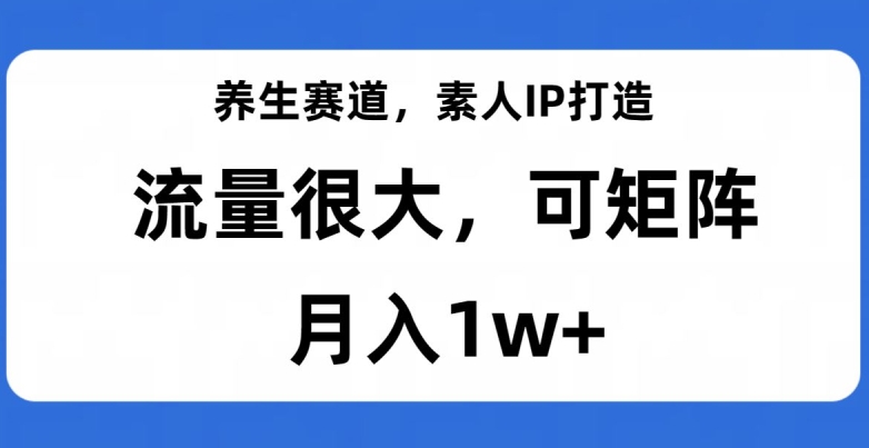 养生赛道,素人IP打造,流量很大,可矩阵,月入1w+【揭秘】-淘金日记