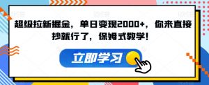超级拉新掘金,单日变现2000+,你来直接抄就行了,保姆式教学!【揭秘】-淘金日记