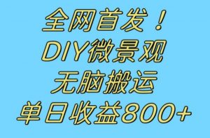 全网首发冷门赛道!DIY微景观,无脑搬运视频,日收益800+【揭秘】-淘金日记