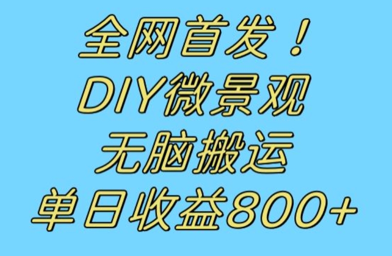 全网首发冷门赛道!DIY微景观,无脑搬运视频,日收益800+【揭秘】-淘金日记