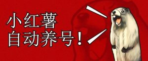 小红书养号秘籍,如何自动涨粉清晰系统标签打造高权重账号【揭秘】-淘金日记
