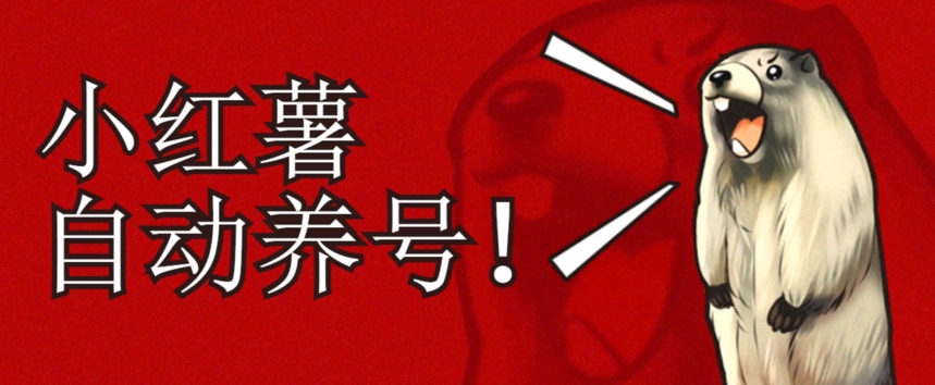 小红书养号秘籍,如何自动涨粉清晰系统标签打造高权重账号【揭秘】-淘金日记
