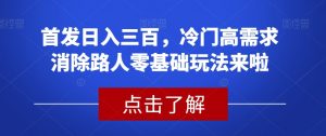首发日入三百，冷门高需求消除路人零基础玩法来啦【揭秘】-淘金日记