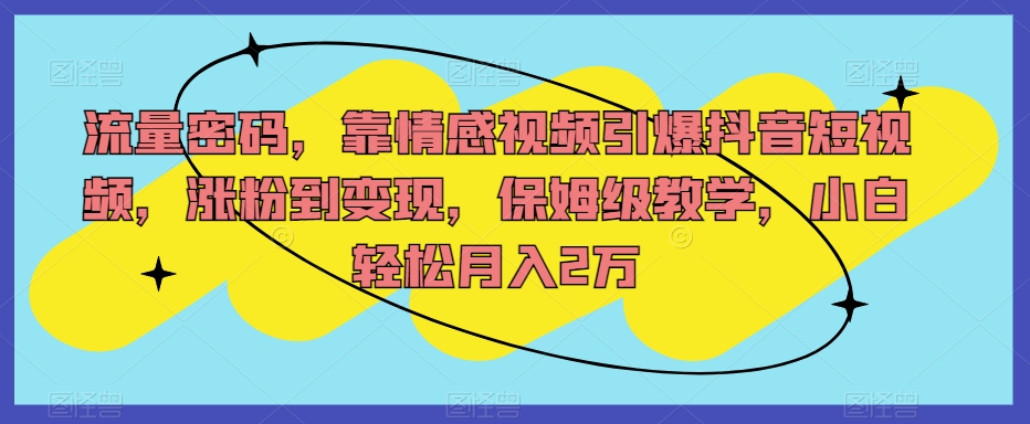 流量密码,靠情感视频引爆抖音短视频,涨粉到变现,保姆级教学,小白轻松月入2万【揭秘】-淘金日记