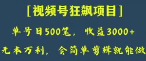 日收款500笔，纯利润3000+，视频号狂飙项目，会简单剪辑就能做【揭秘】-淘金日记