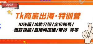 Tk商家出海·特训营:ID注册/功能介绍/定位账号/爆款视频/直播间搭建/带货-淘金日记