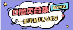 0撸项目月入过万，售卖全套ai工具合集，一单29.9元，一部手机即可【揭秘】-淘金日记