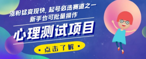 心理测试项目，涨粉猛变现快，起号必选赛道之一，新手也可批量操作【揭秘】-淘金日记