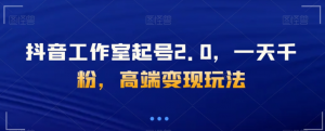 抖音工作室起号2.0，一天千粉，高端变现玩法【揭秘】-淘金日记