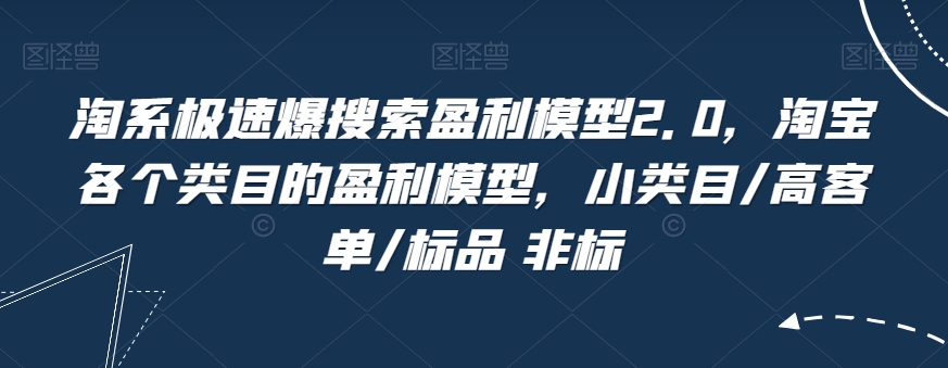 淘系极速爆搜索盈利模型2.0,淘宝各个类目的盈利模型,小类目/高客单/标品 非标-淘金日记