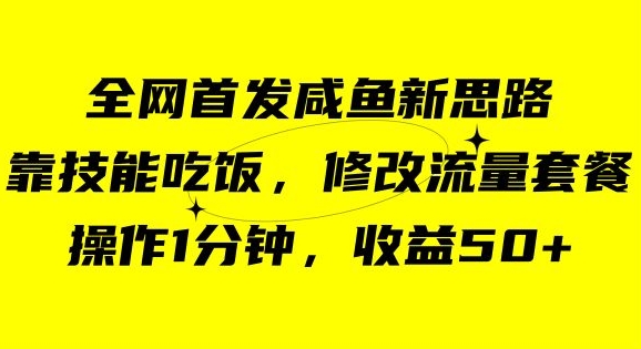 咸鱼冷门新玩法,靠“技能吃饭”,修改流量套餐,操作1分钟,收益50【揭秘】-淘金日记