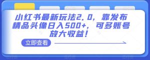 小红书最新玩法2.0，靠发布精品头像日入500+，可多账号放大收益！【揭秘】-淘金日记