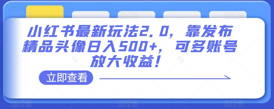 小红书最新玩法2.0，靠发布精品头像日入500+，可多账号放大收益！【揭秘】-淘金日记