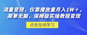流量变现,仅靠播放量月入1W+,简单无脑,保姆级实操教程【揭秘】-淘金日记