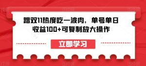 蹭双11热度吃一波肉,单号单日收益100+可复制放大操作【揭秘】-淘金日记