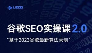 雷子·谷歌SEO 2.0实战课,独立站询盘自由必备,基于2023谷歌最新算法录制-淘金日记