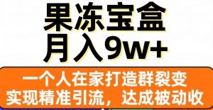 果冻宝盒,一个人在家打造群裂变,实现精准引流,达成被动收入,月入9w+-淘金日记
