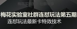 梅花实验室社群连怼玩法第五期,视频号连怼玩法最新卡特效技术-淘金日记
