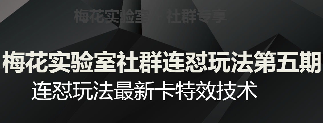 梅花实验室社群连怼玩法第五期,视频号连怼玩法最新卡特效技术-淘金日记