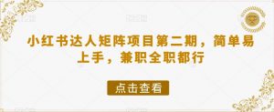 小红书达人矩阵项目第二期，简单易上手，兼职全职都行-淘金日记