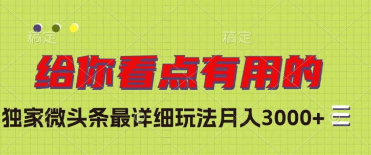 独家微头条最详细玩法，月入3000+【揭秘】-淘金日记