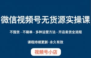 微信视频号小店无货源实操课程，​不囤货·不刷单·多种运营方法·开店卖货全流程-淘金日记