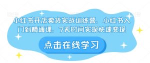 小红书开店卖货实战训练营，小红书入门到精通课，7天时间实现快速变现-淘金日记