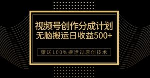 最新视频号创作分成计划,无脑搬运一天收益500+,100%搬运过原创技巧【揭秘】-淘金日记