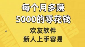 欢友软件,新人上手容易,每个月多赚5000的零花钱【揭秘】-淘金日记