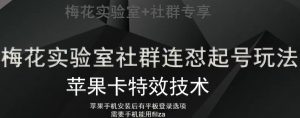 梅花实验室社群视频号连怼起号玩法，最新苹果卡特效技术-淘金日记