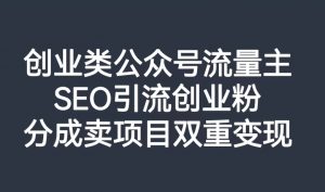 创业类公众号流量主,SEO引流创业粉,分成卖项目双重变现【揭秘】-淘金日记