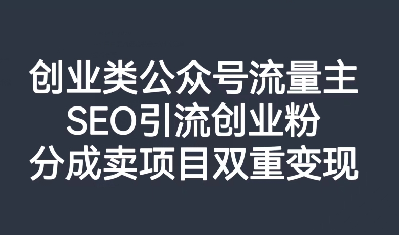 创业类公众号流量主,SEO引流创业粉,分成卖项目双重变现【揭秘】-淘金日记