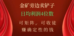 金矿旁边卖铲子，赚确定性的钱，可矩阵，可收徒，日均利润4位数【揭秘】-淘金日记