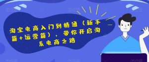 淘宝电商入门到精通（新手篇+运营篇），带你开启淘系电商之路-淘金日记