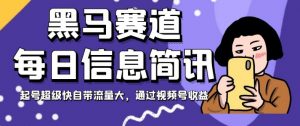 黑马赛道每日信息简讯,起号超级快自带流量大,通过视频号收益【揭秘】-淘金日记
