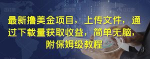 最新撸美金项目,上传文件,通过下载量获取收益,简单无脑,附保姆级教程【揭秘】-淘金日记
