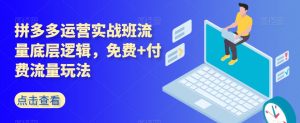 拼多多运营实战班流量底层逻辑,免费+付费流量玩法-淘金日记