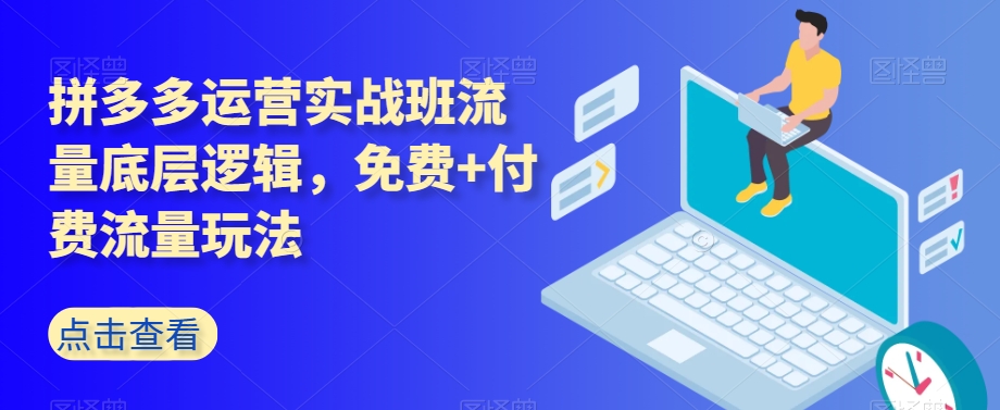 拼多多运营实战班流量底层逻辑,免费+付费流量玩法-淘金日记
