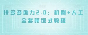 拼多多助力2.0：机刷+人工全套喂饭式教程【揭秘】-淘金日记