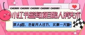 小红书蓝海项目路人消失术，帮人p图，也能月入过万，实测一天300+【揭秘】-淘金日记