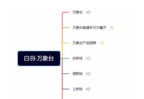 白羽·直引万搜索全篇,从0-1,多个类目实操经验总结付费-淘金日记