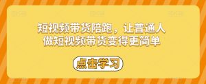 短视频带货陪跑，让普通人做短视频带货变得更简单-淘金日记