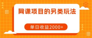 网课项目的另类玩法，单日收益2000+【揭秘】-淘金日记