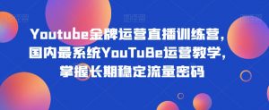 Youtube金牌运营直播训练营，国内最系统YouTuBe运营教学，掌握长期稳定流量密码-淘金日记