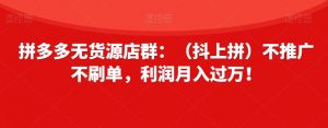 拼多多无货源店群：（抖上拼）不推广不刷单，利润月入过万！【揭秘】-淘金日记