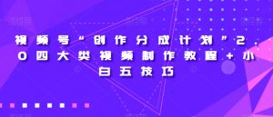 视频号“创作分成计划”2.0四大类视频制作教程+小白五技巧【揭秘】-淘金日记
